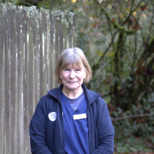 Jayne Crupi